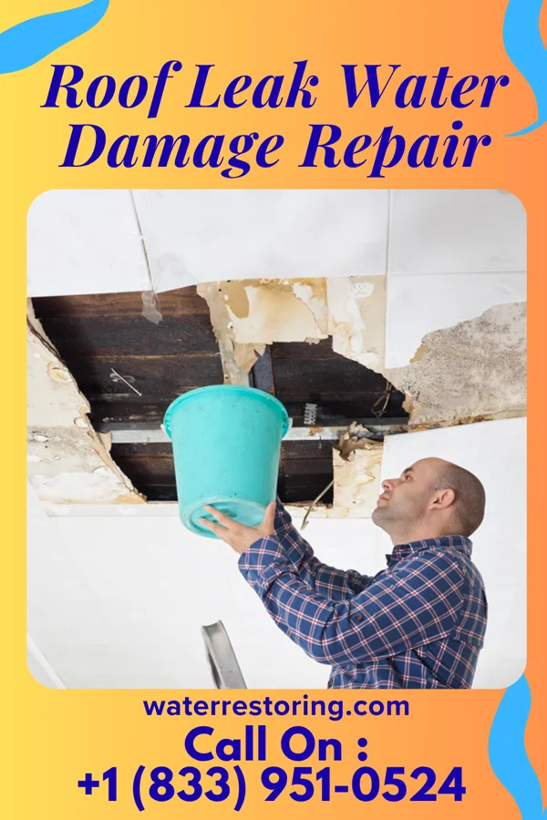 Roof Leak Water Damage Repair in Alamo, IN