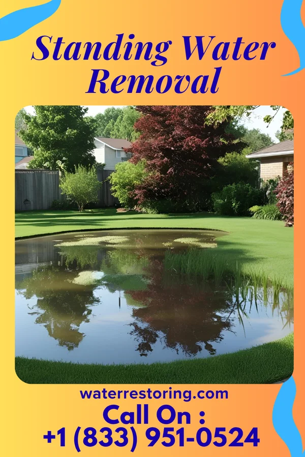 Standing Water Removal in Alamo, IN